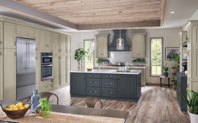 Kitchen Theme Ideas for a Renovation or Remodel